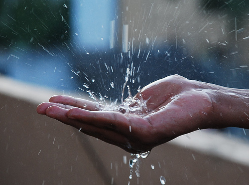 Hand holding rain water