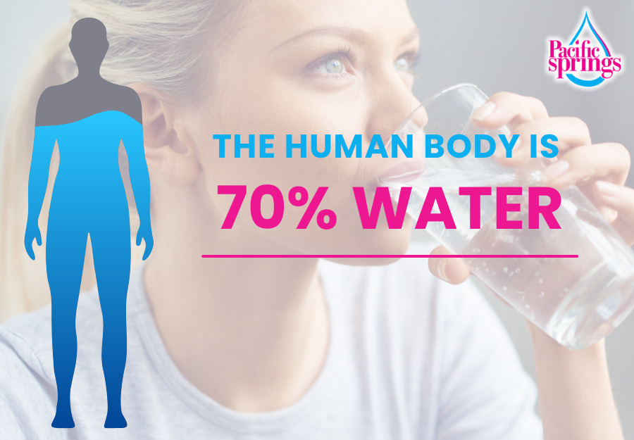 The Human Body Is 70% Water. You are what you drink